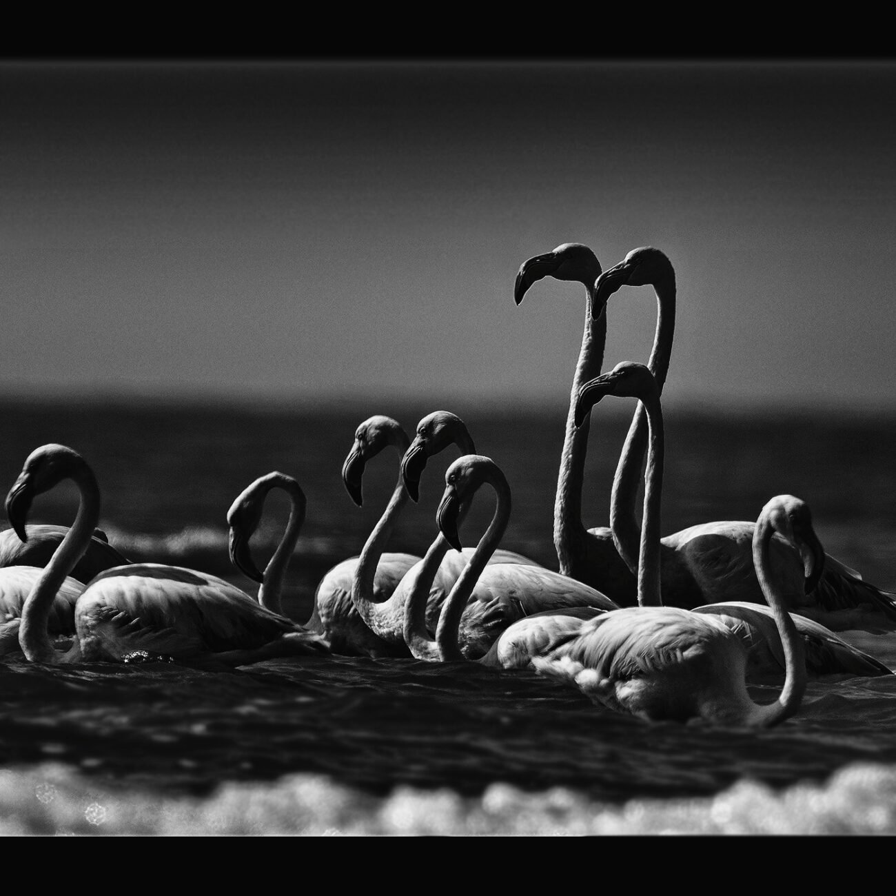 Father, Mother and children
