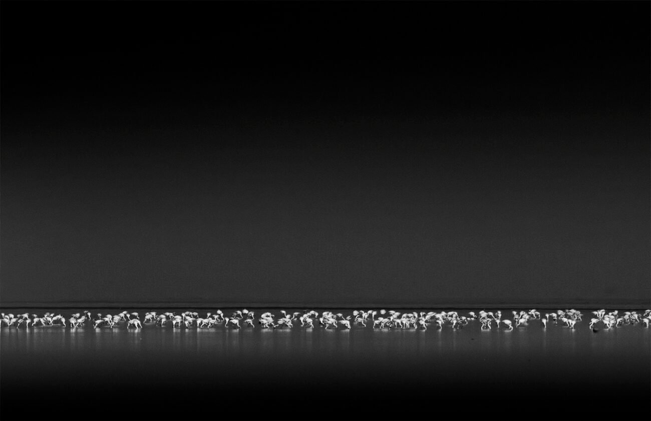 Horizon Line