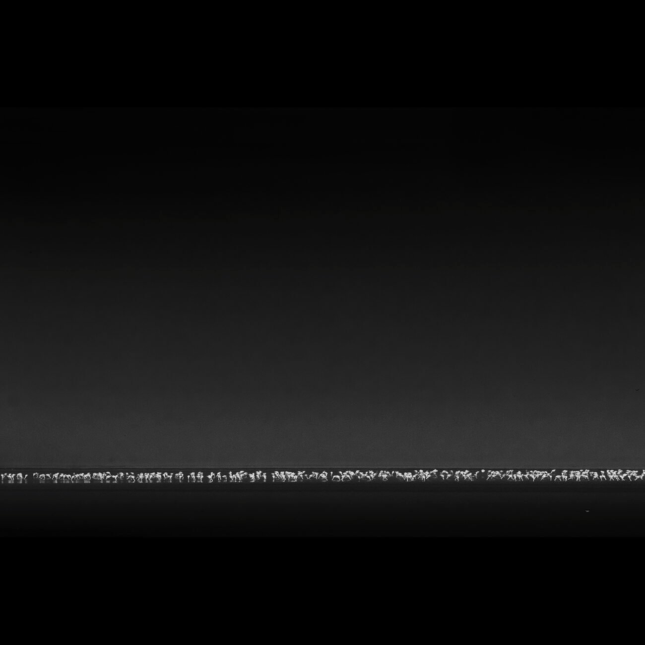 Horizon Line