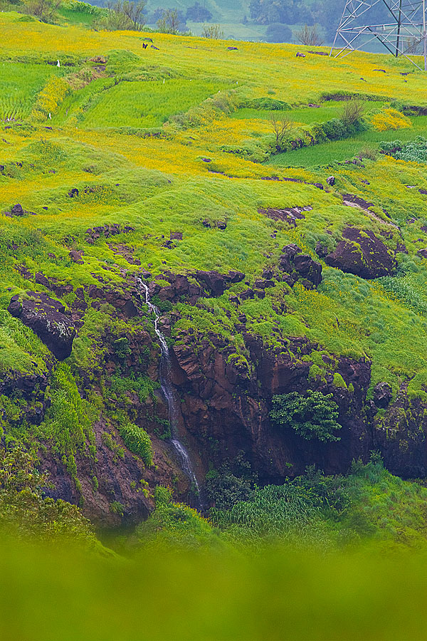 You are currently viewing A trickle in the valley