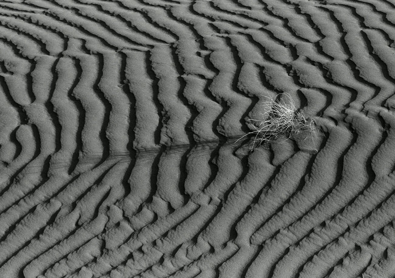 Fingerprints on the sand