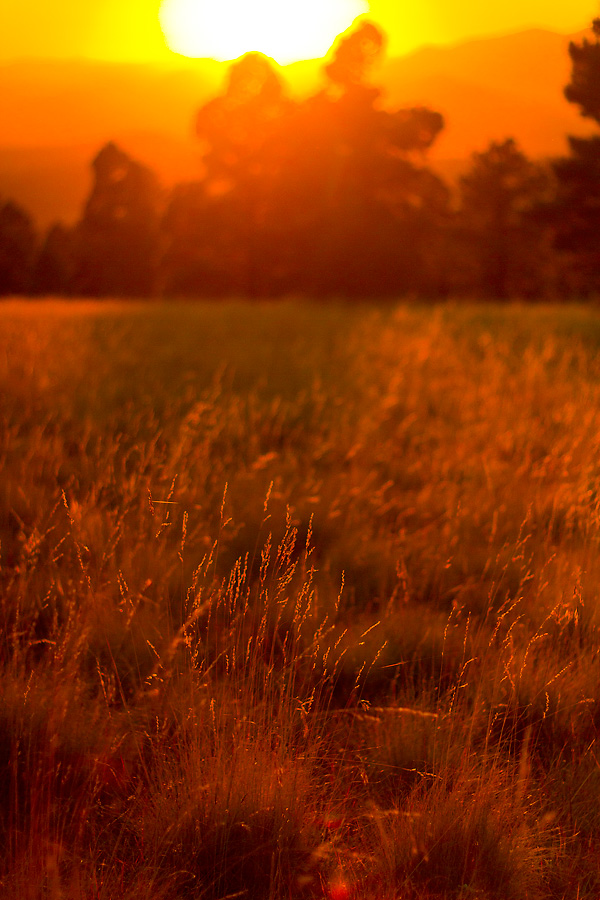 You are currently viewing A Fiery Sunset