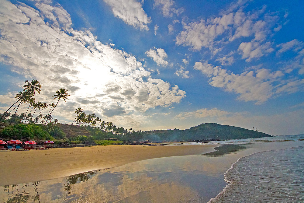 Read more about the article A Beautiful Morning at the Beach