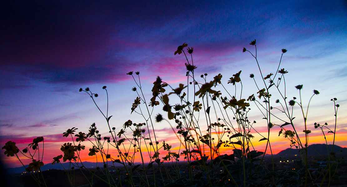 You are currently viewing A Glorious Sunset