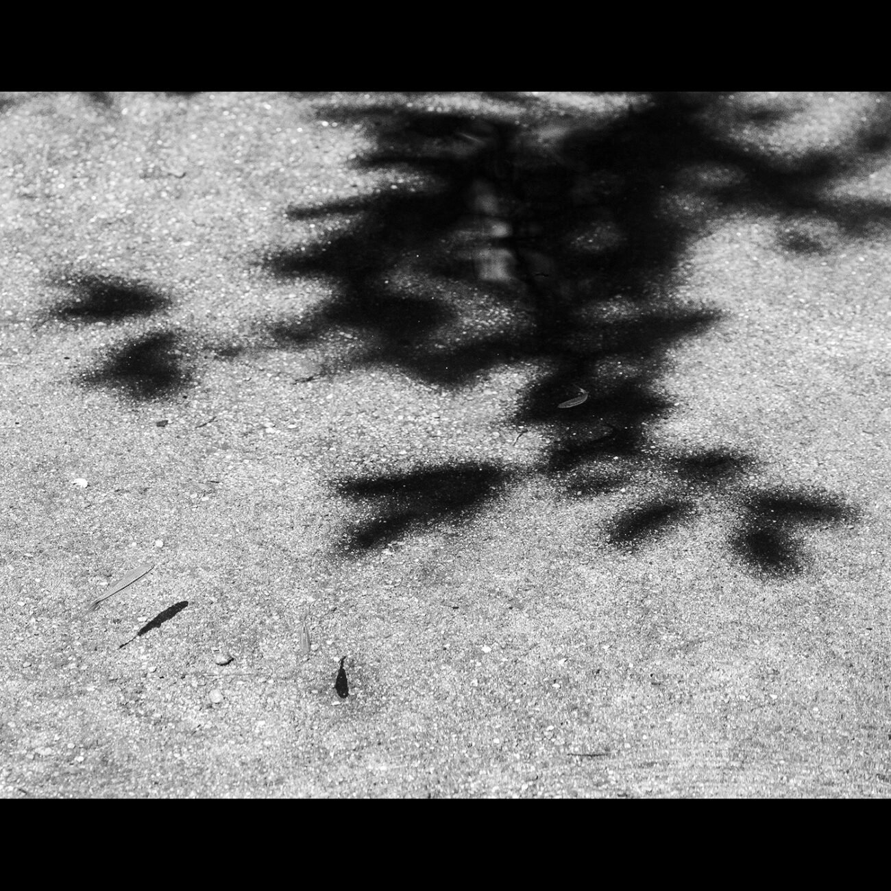 Living in the shadows