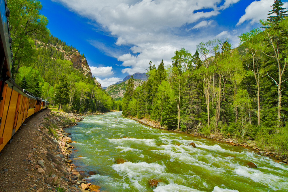 Read more about the article River Train