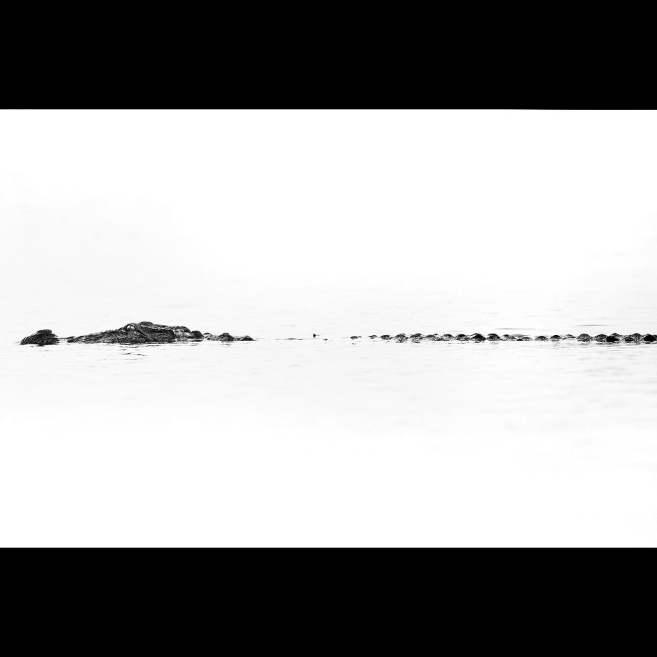 Tank of the surface