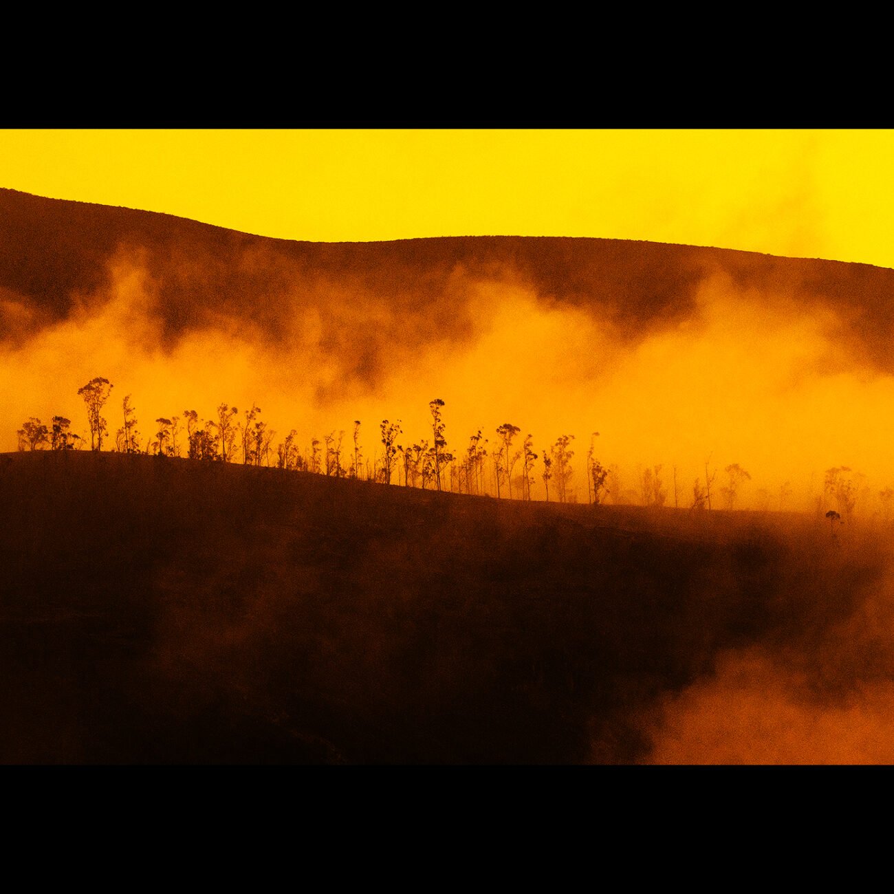 Fire in the valley
