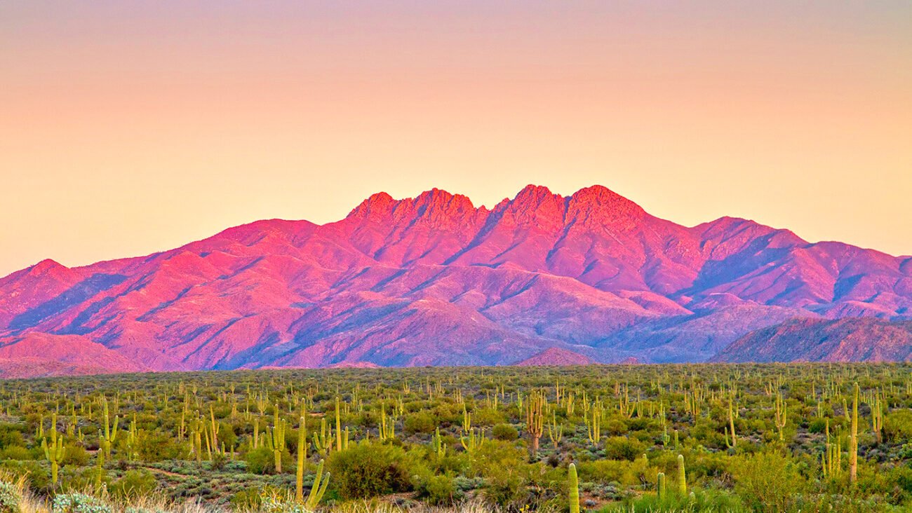 Desert Sunset