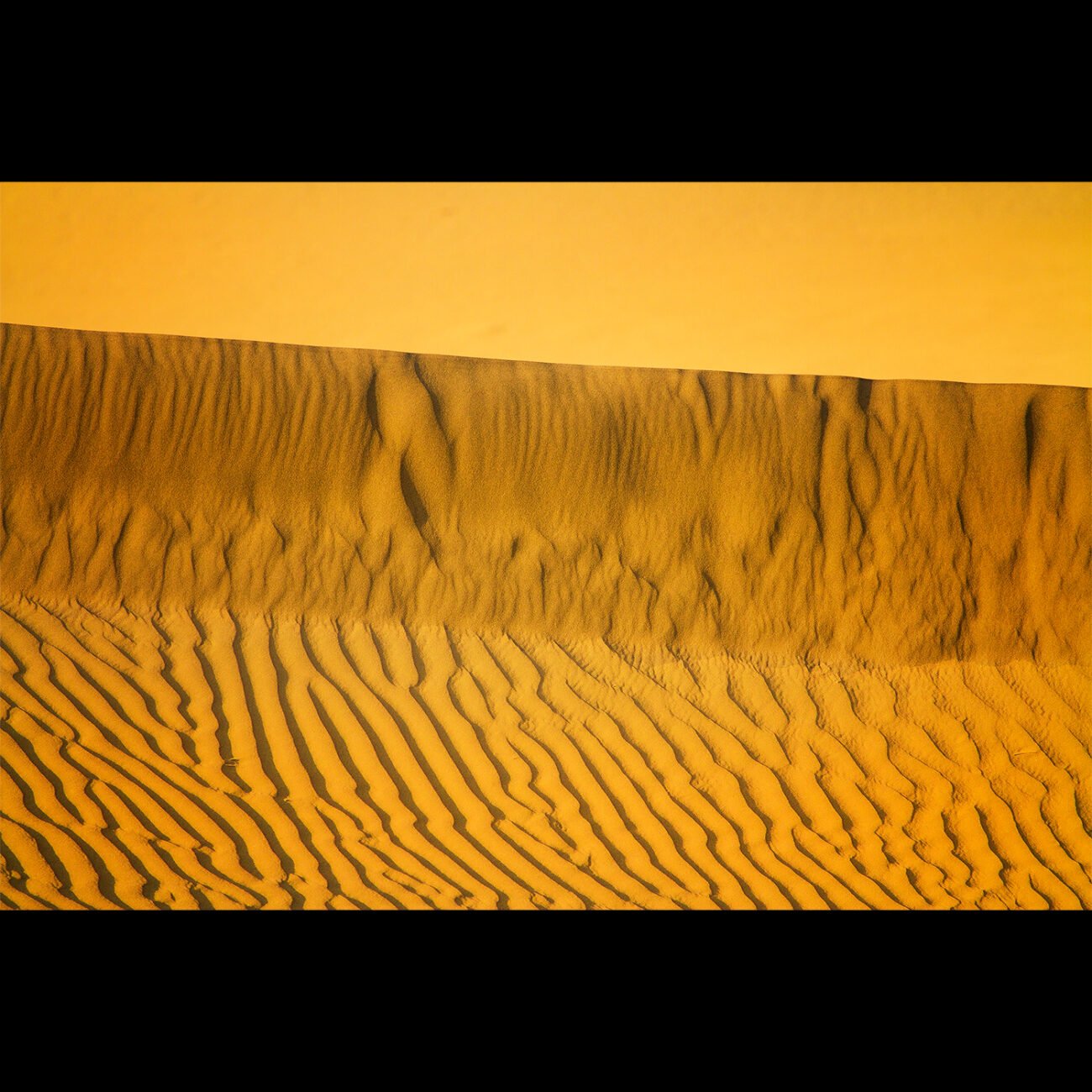 Desert Cracks