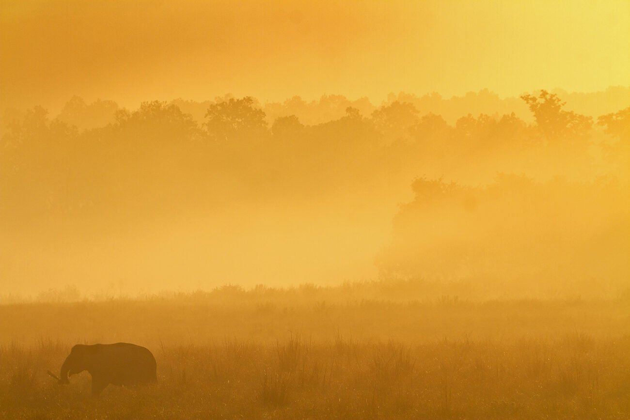 Enjoying the Sunrise
