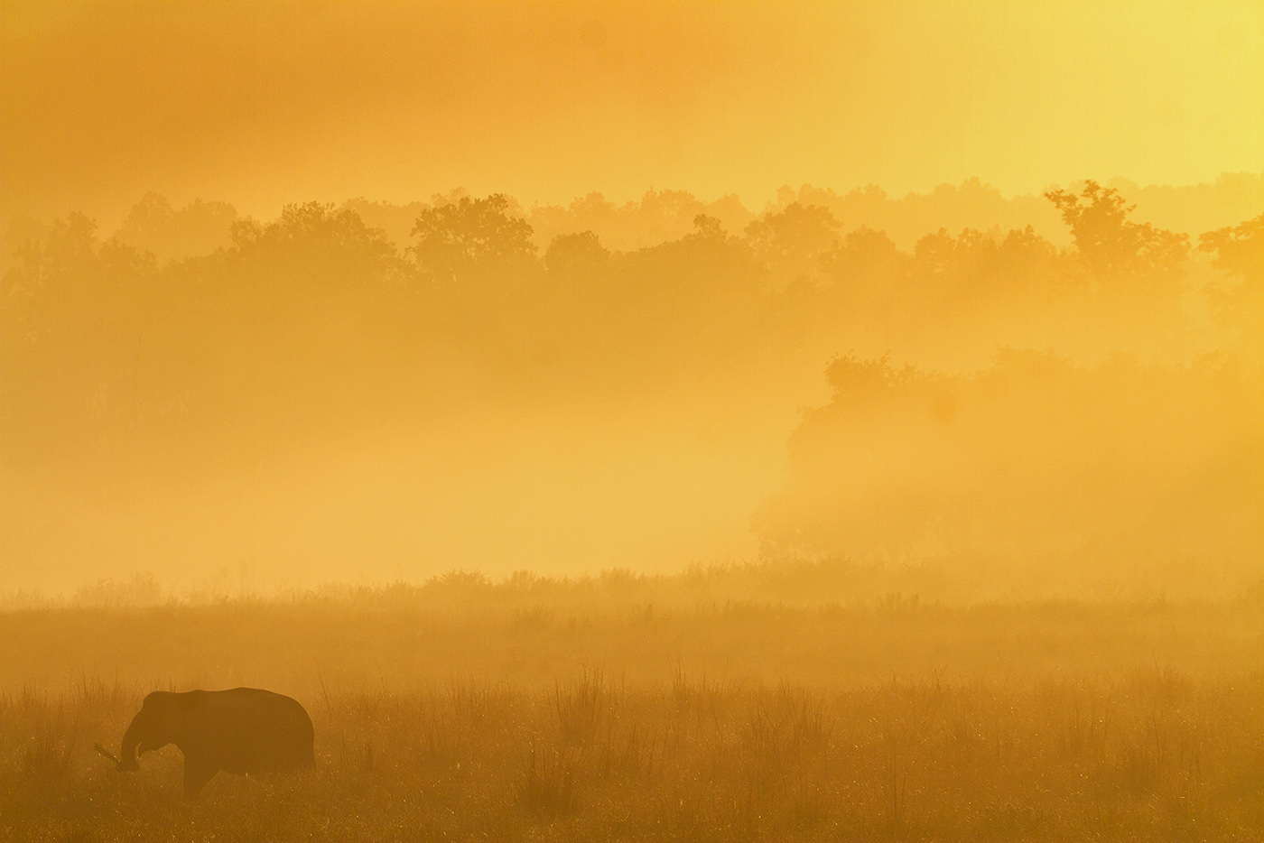 Read more about the article Enjoying the Sunrise