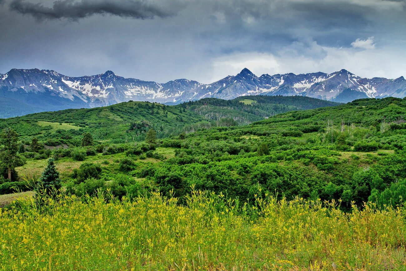 Mountain Spring