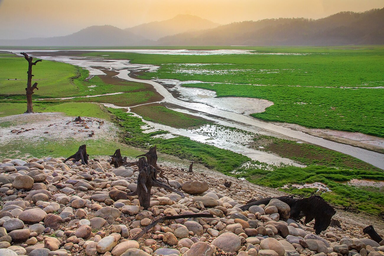 Ramganga river at sunset, Corbett