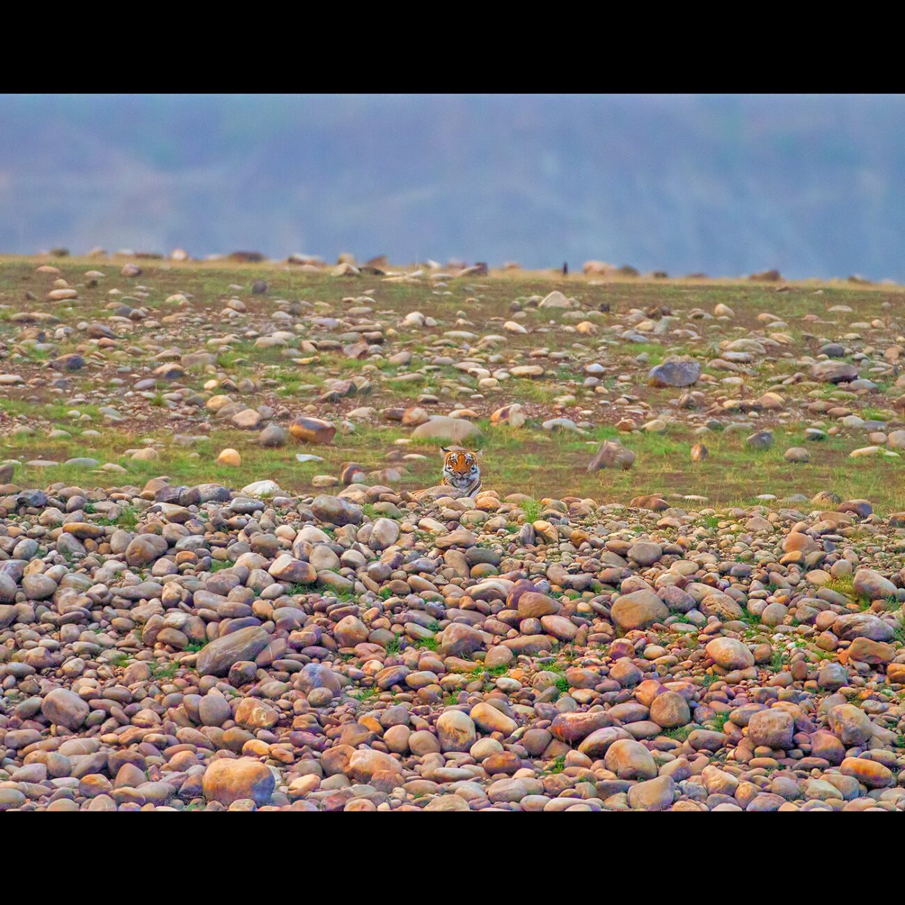 On the Rocks