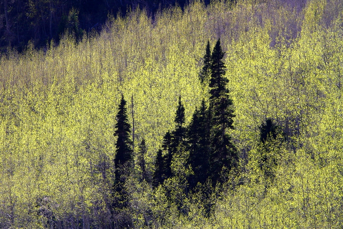 Read more about the article Spring in Durango, Colorado, USA