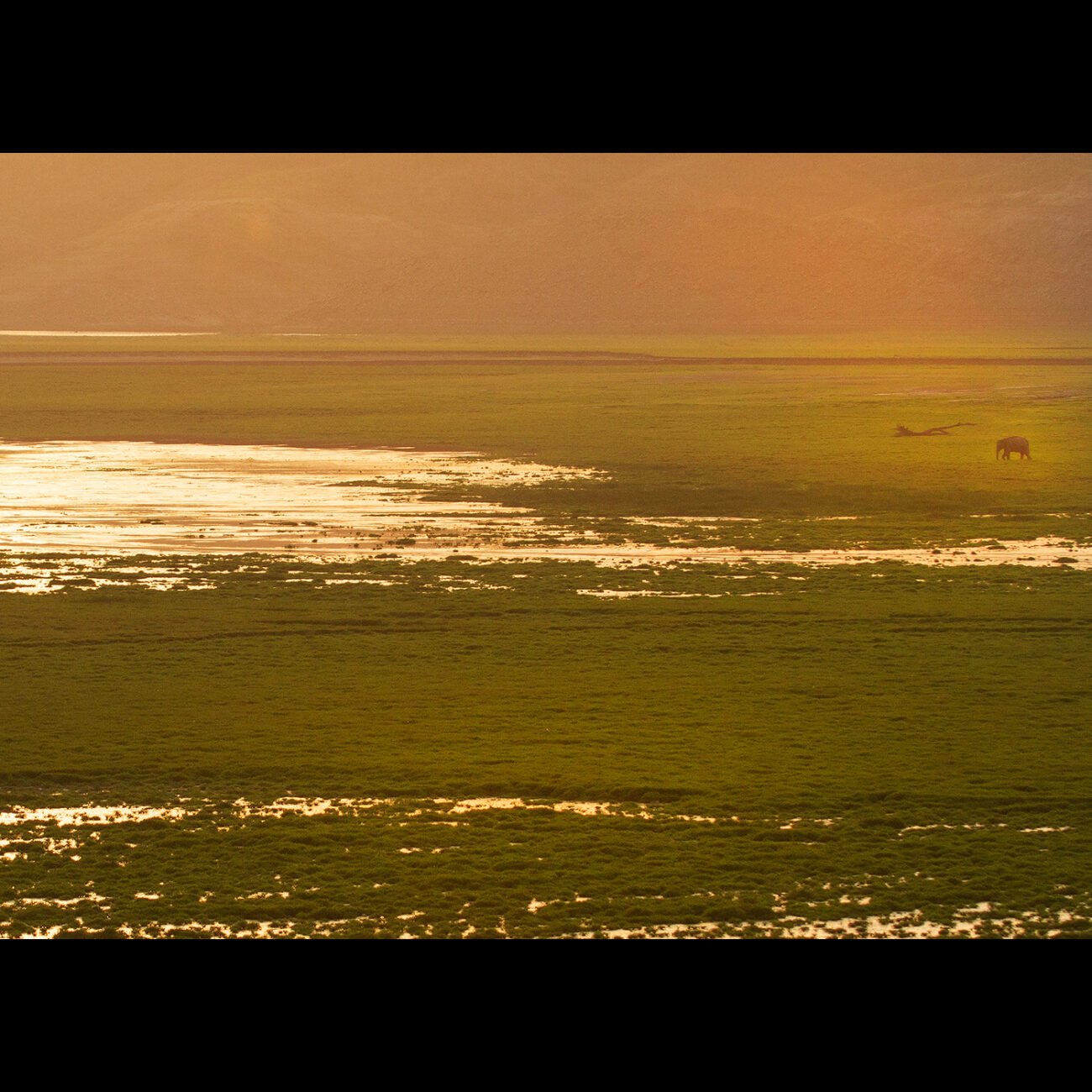 Golden River