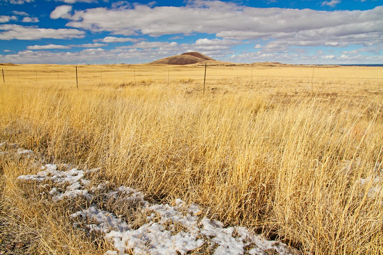 The lonely hill