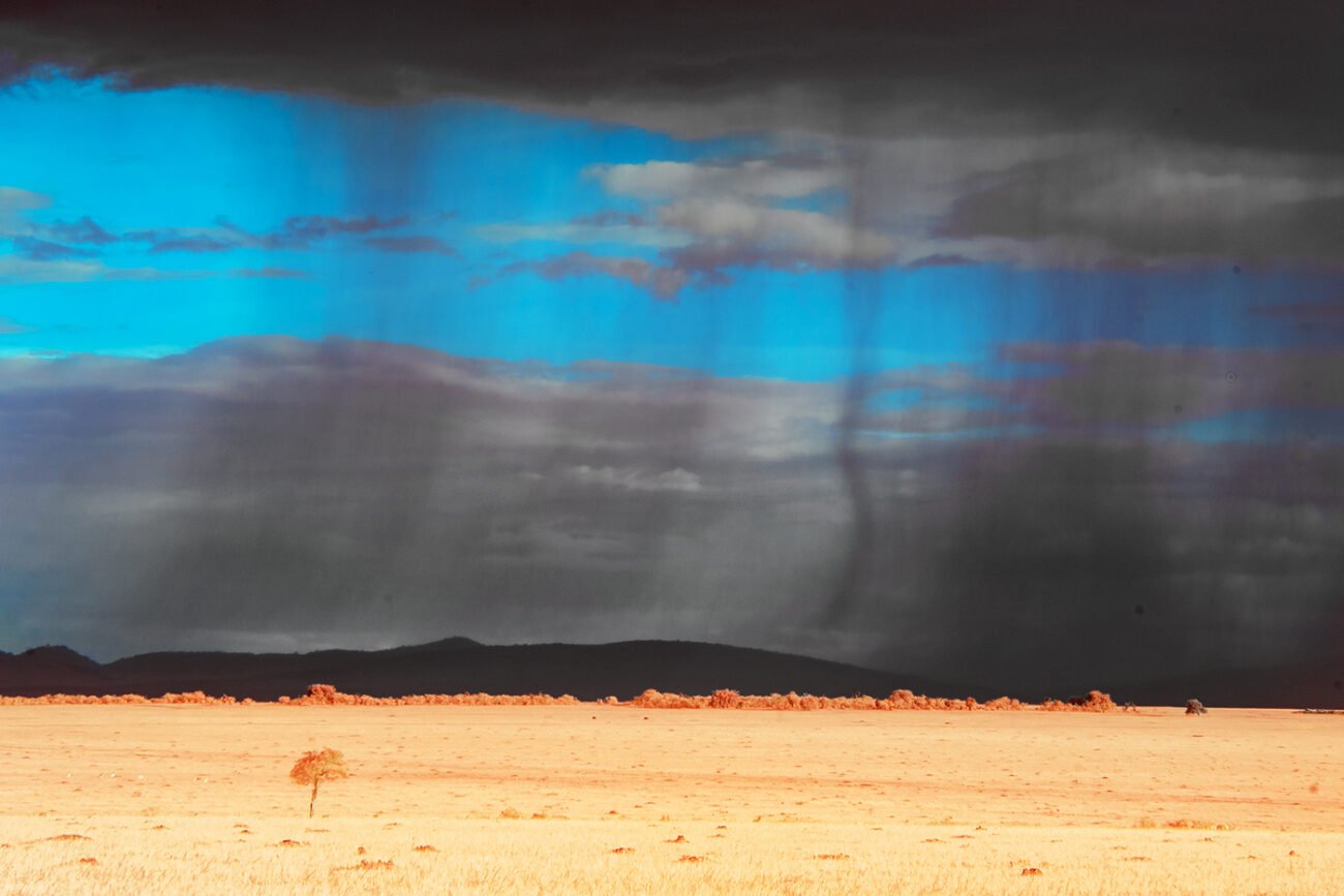 Rains