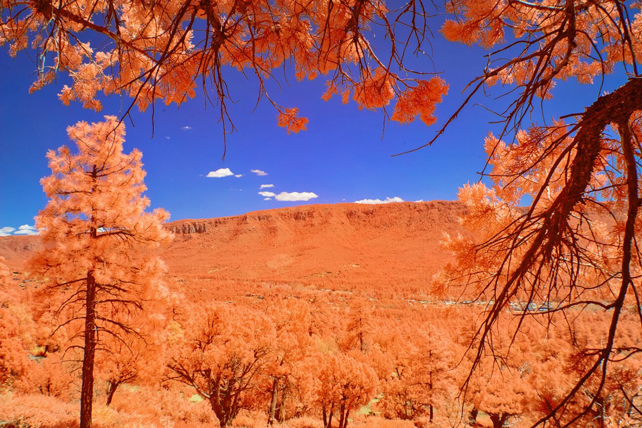 Mogollan rim