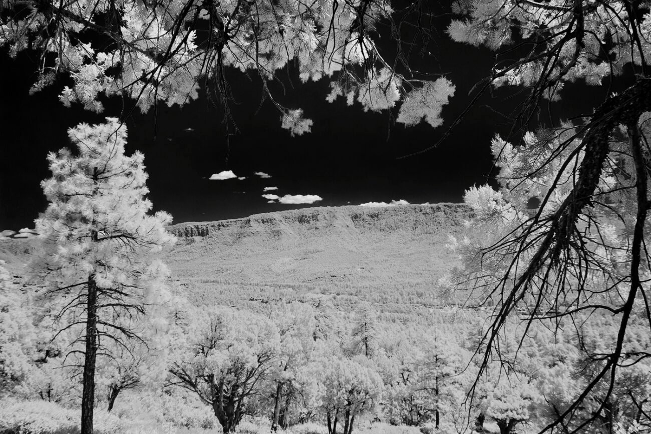 Mogollan rim