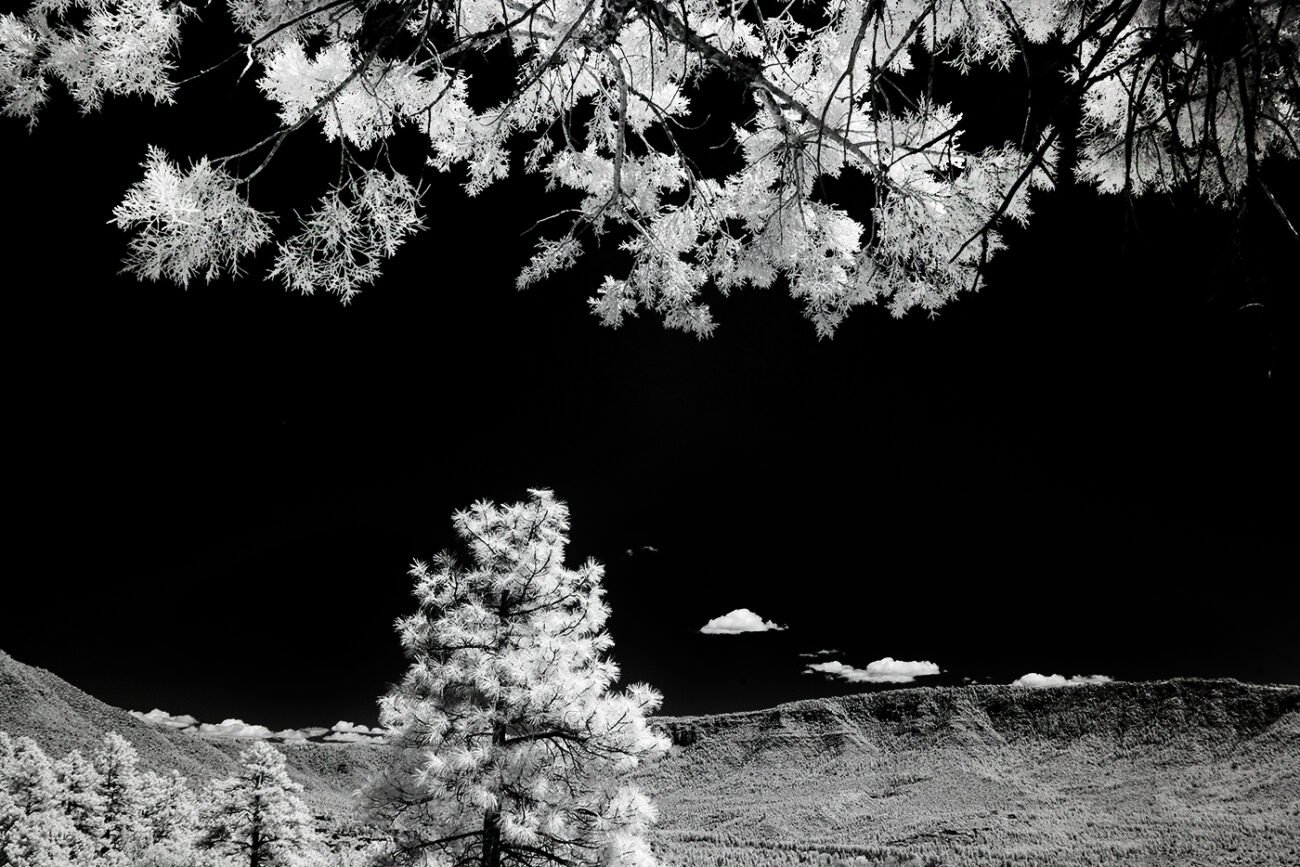 Cloud canopy