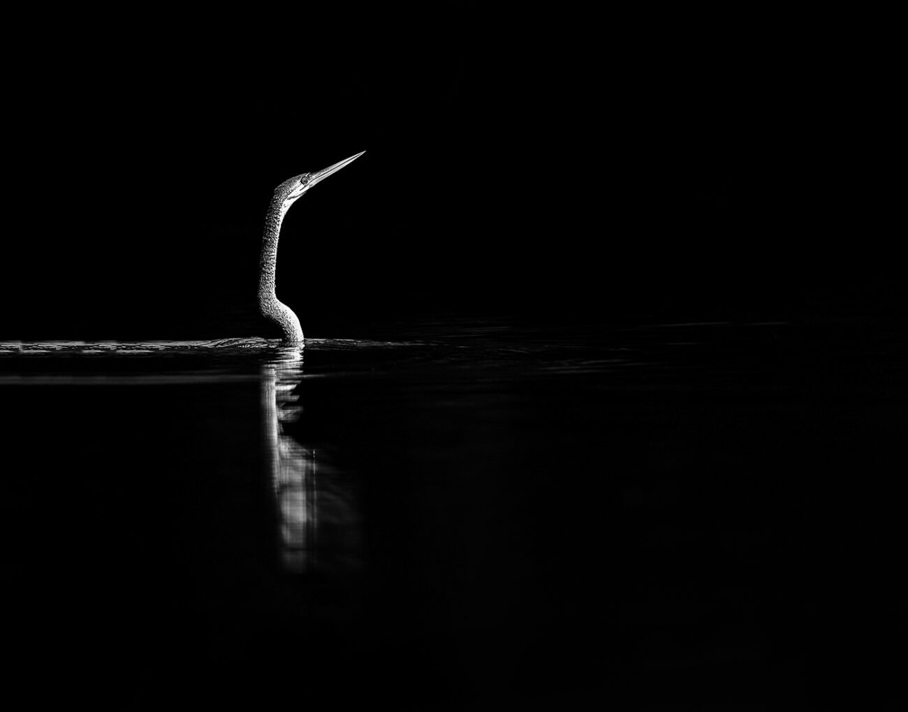 Hunter