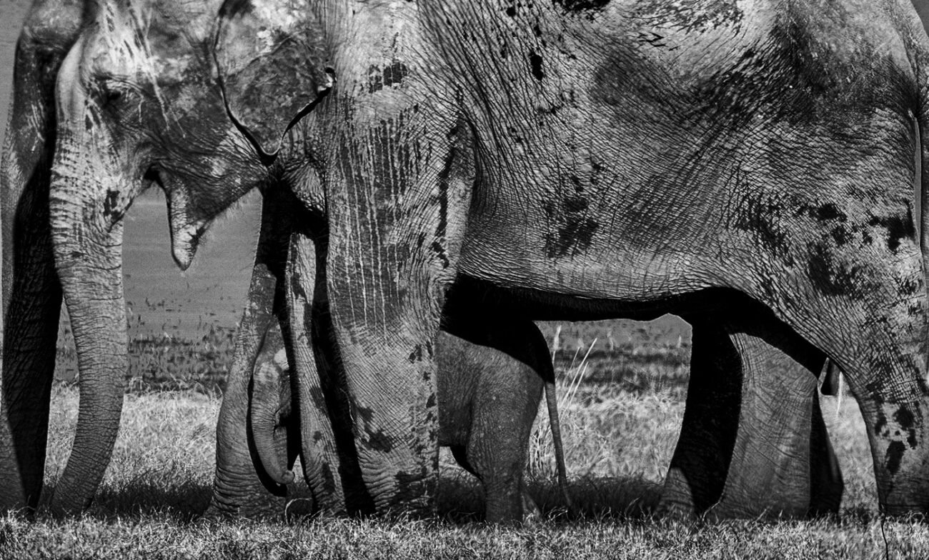 Protected