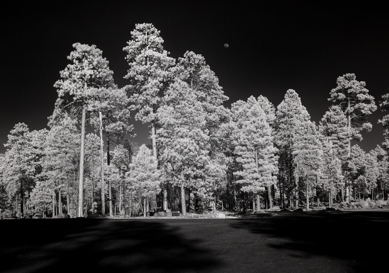 Tree Grove Payson