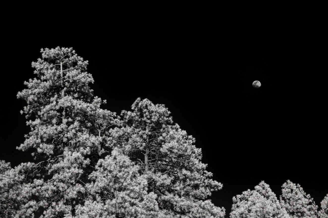 Moon rise