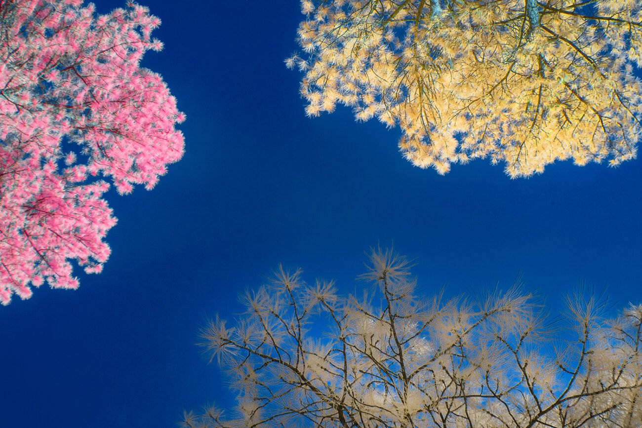 color sky