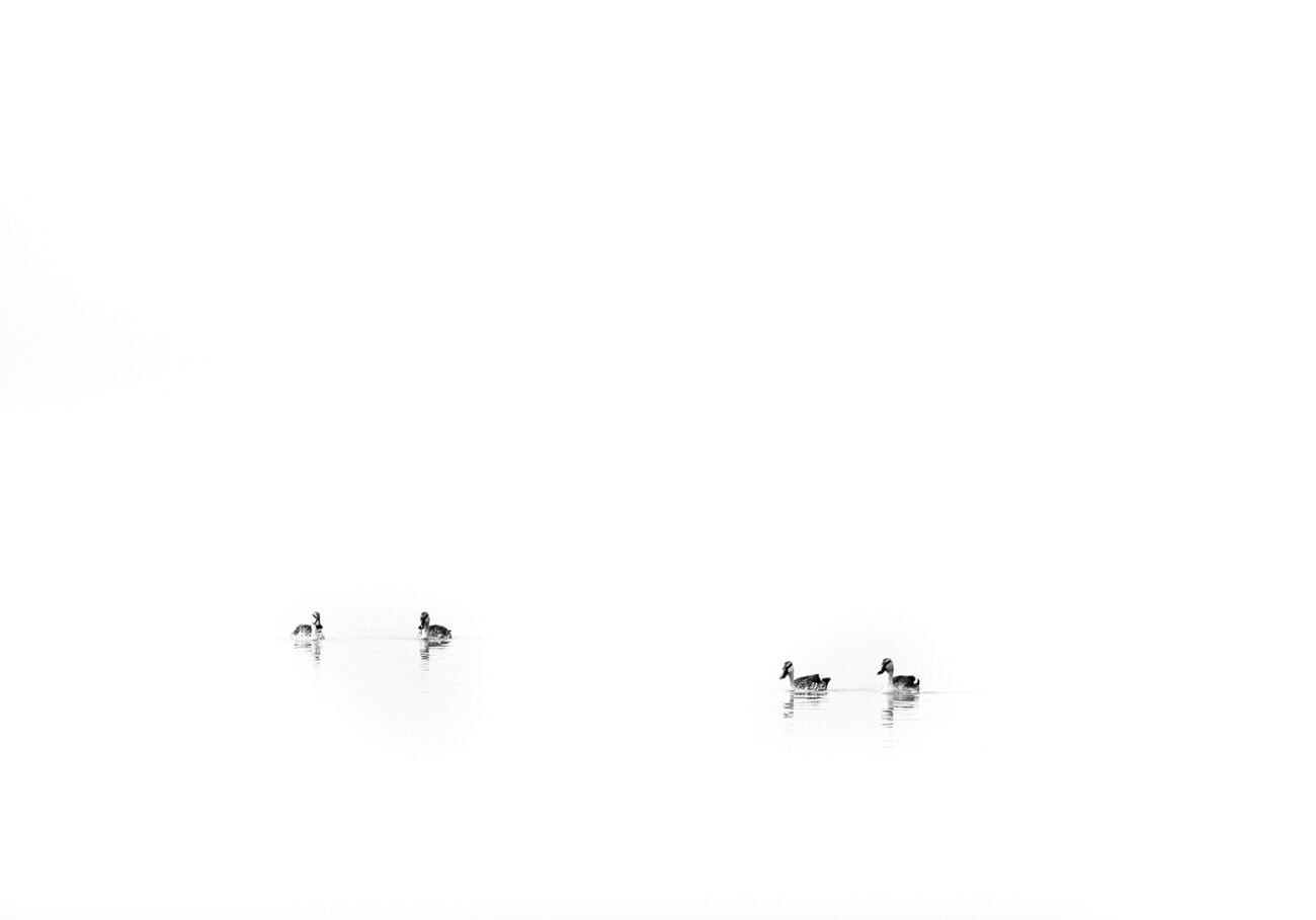 Two Families