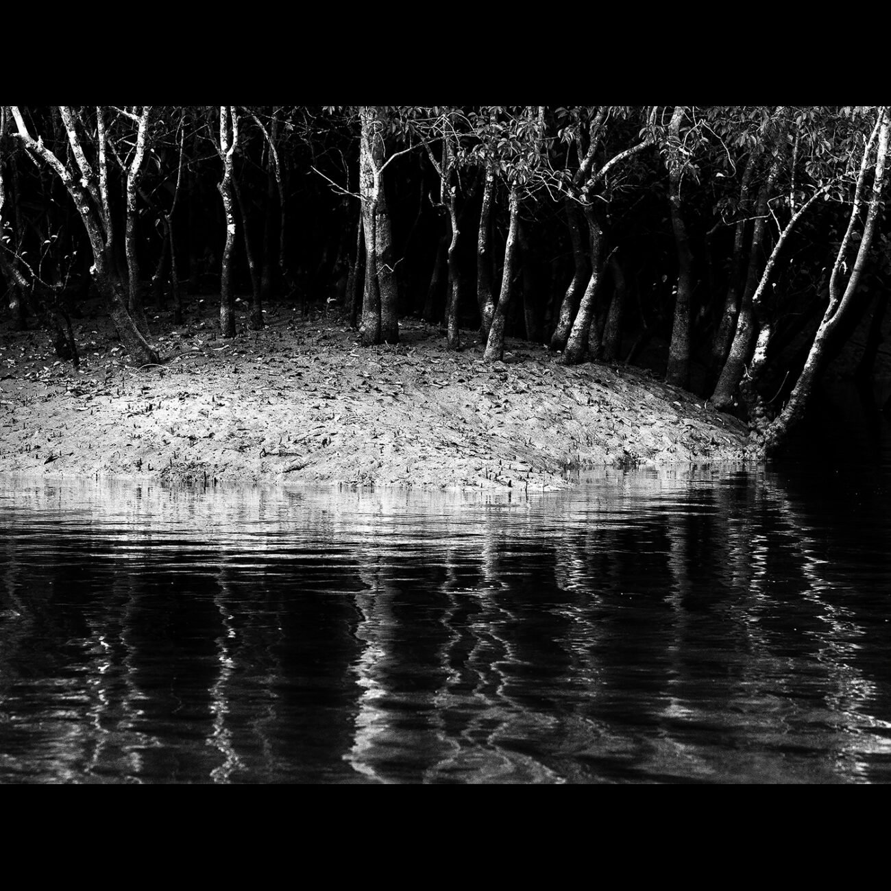 Islands, Sundarbans