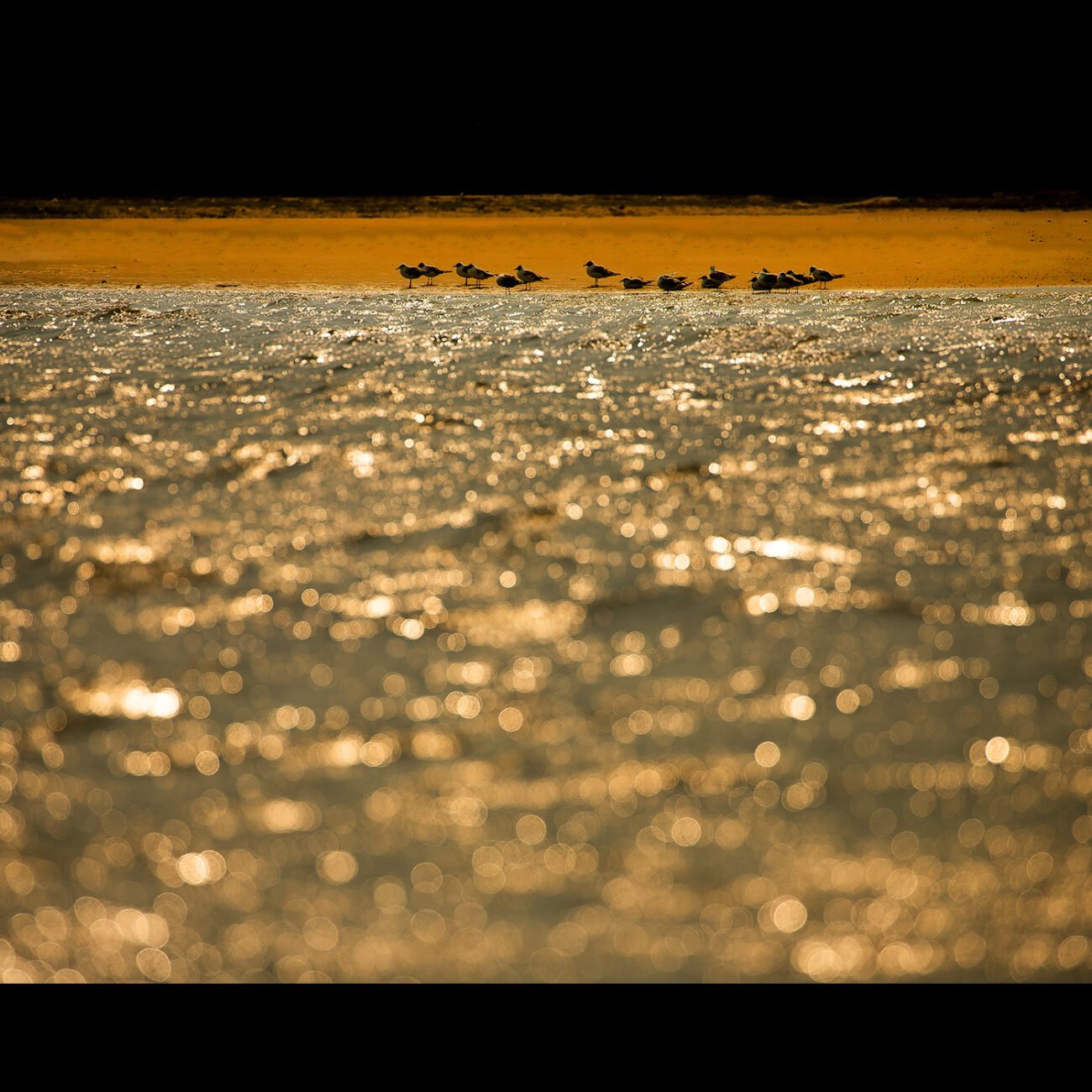 The edge of diamonds