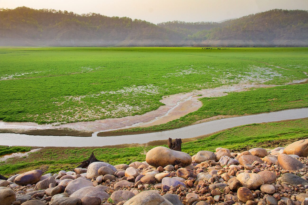 Elephant line, Corbett