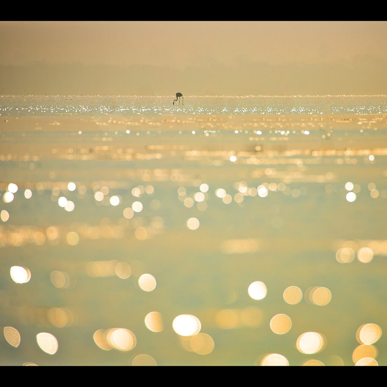 Diamond Sea