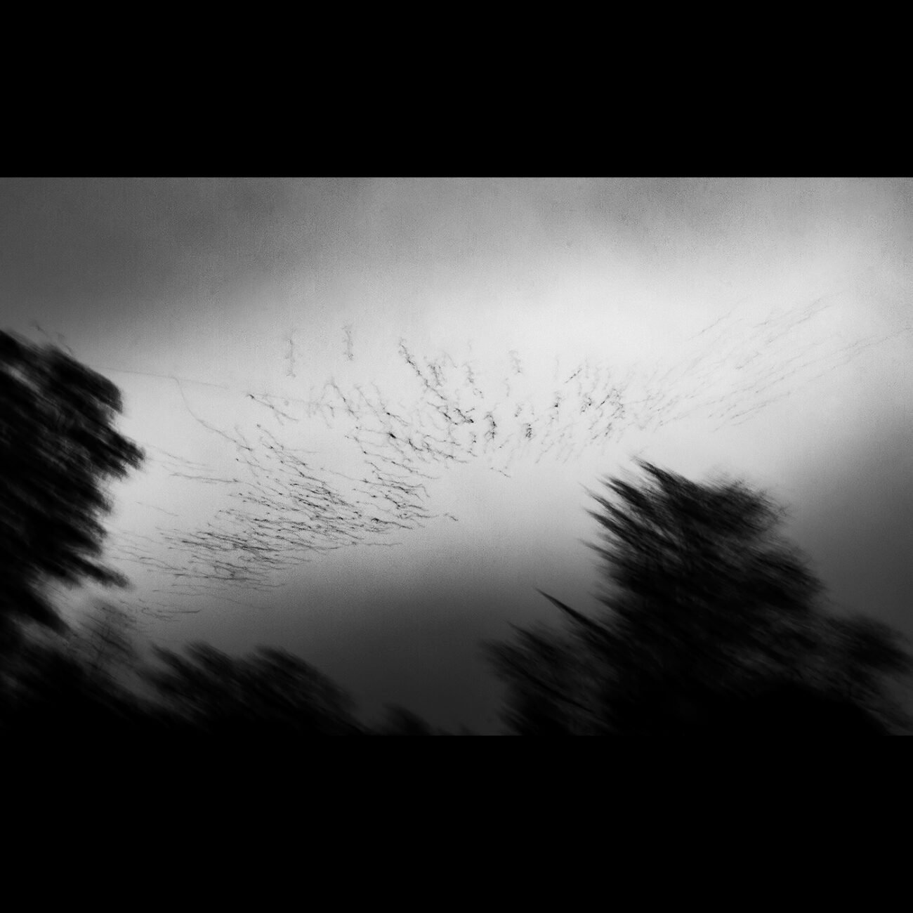 Trails