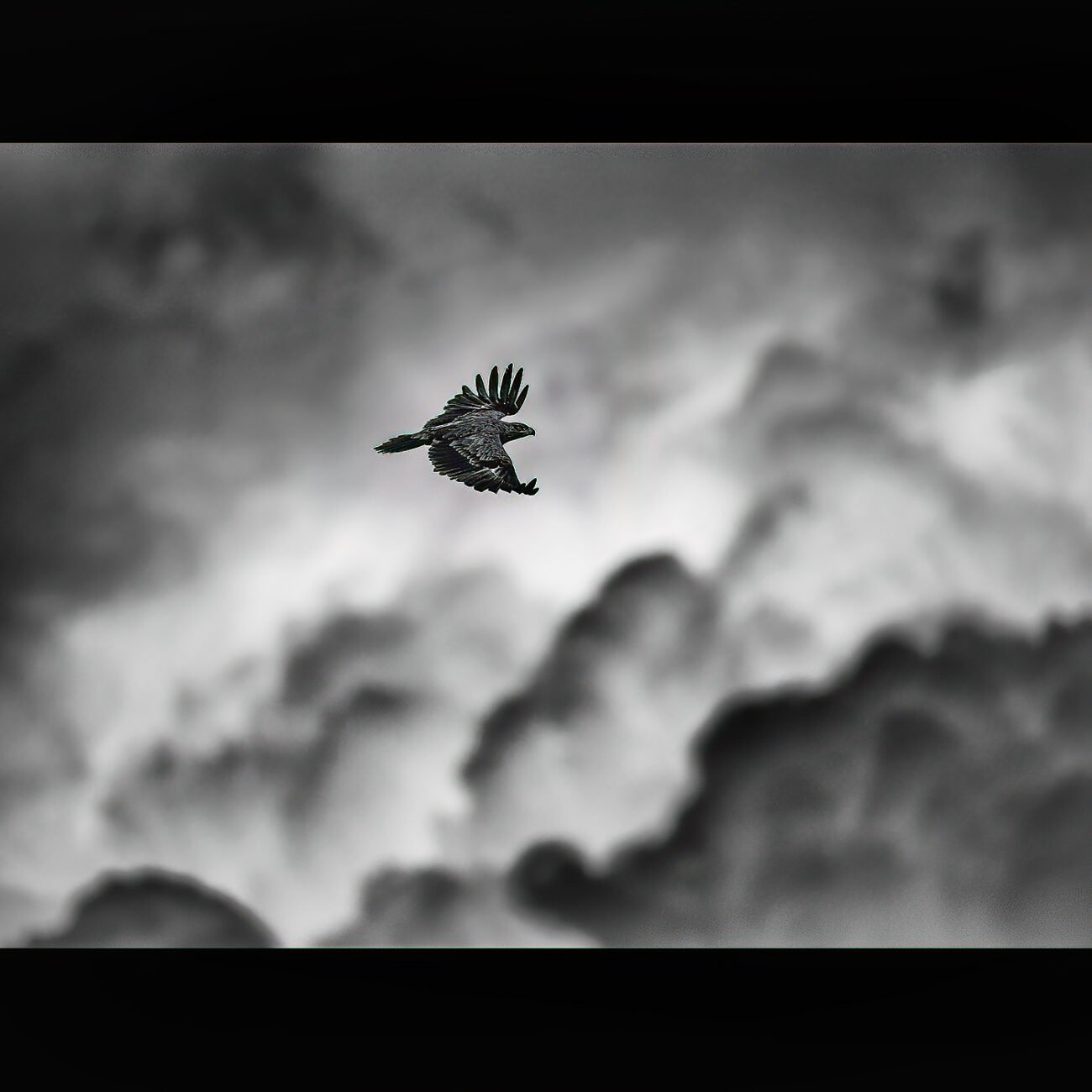 Eagle clouds