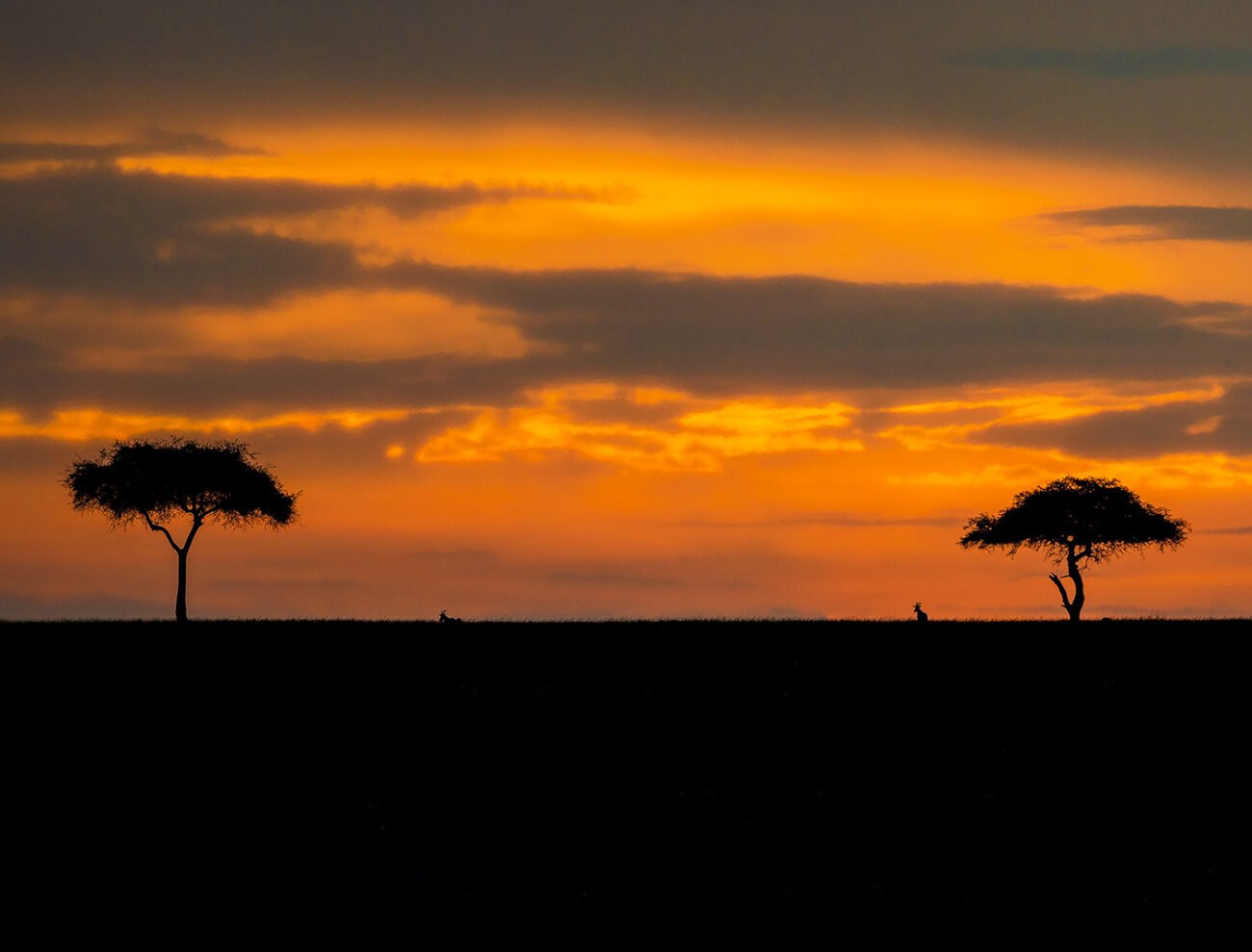 Masai Mara sunset