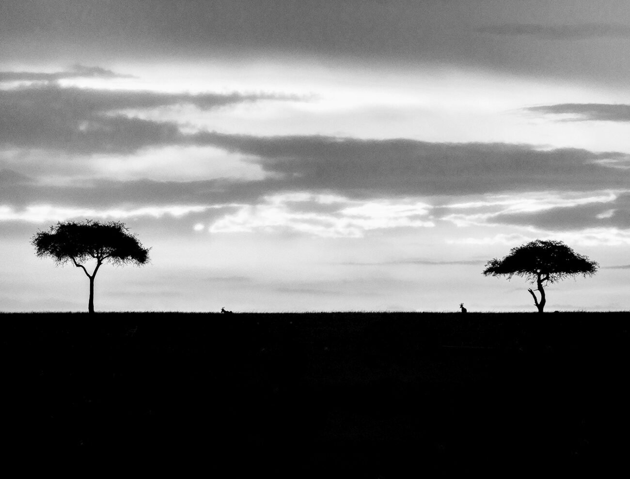 Masai Mara topi