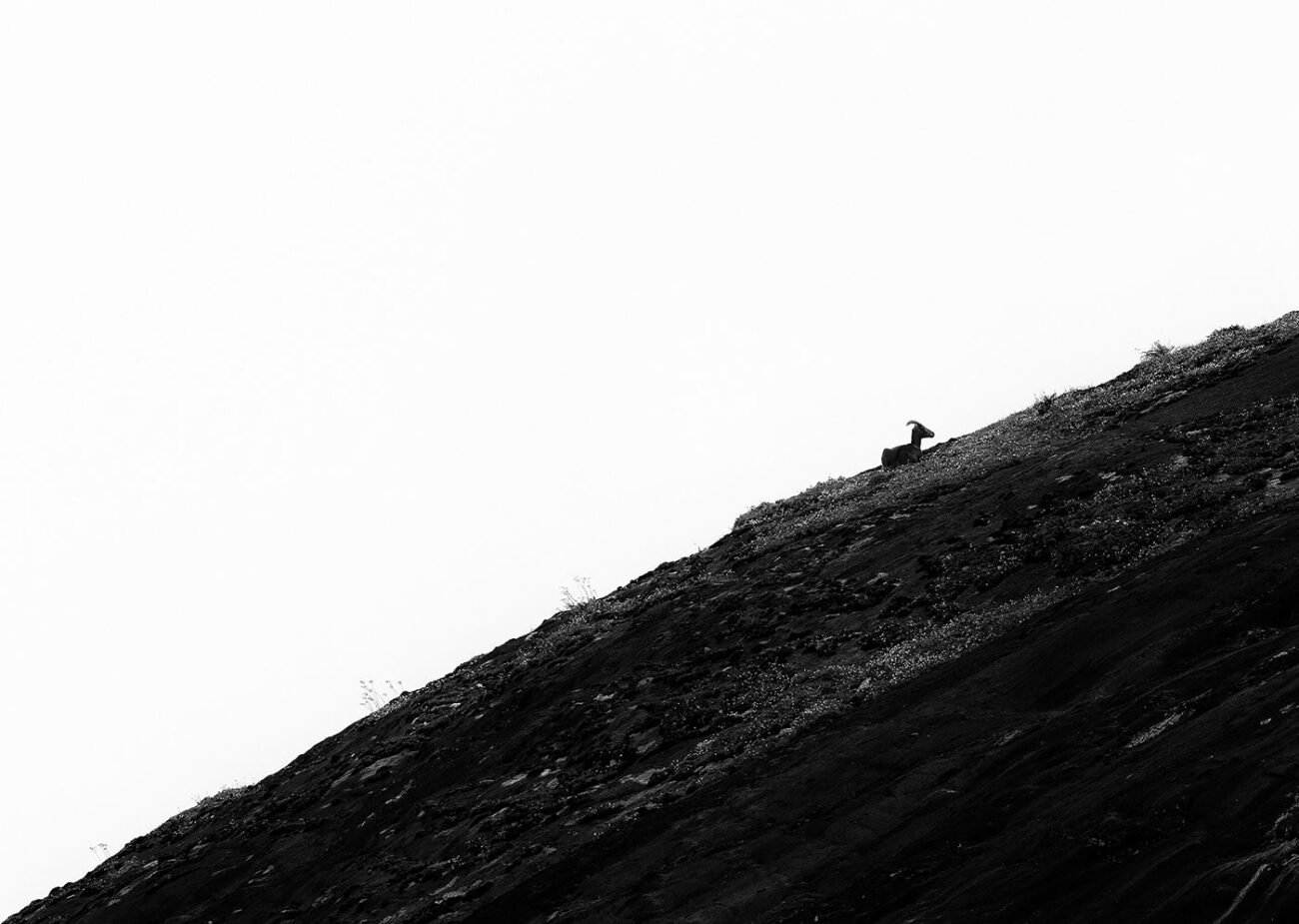Alone