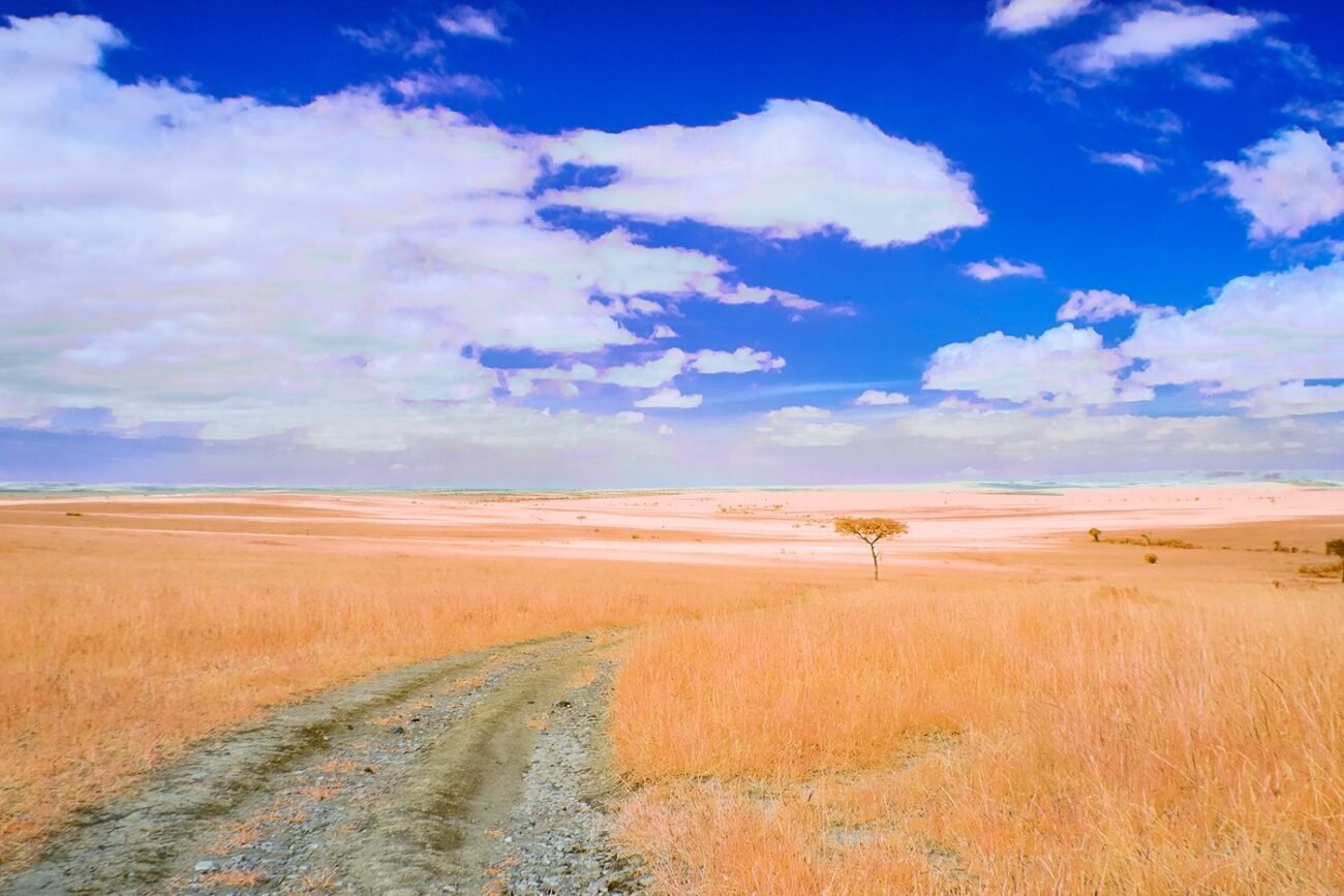 Masai Mara grasslands