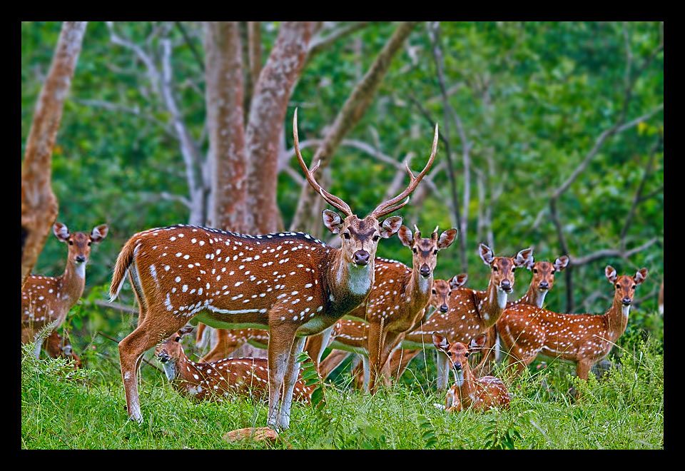 Read more about the article a family photo