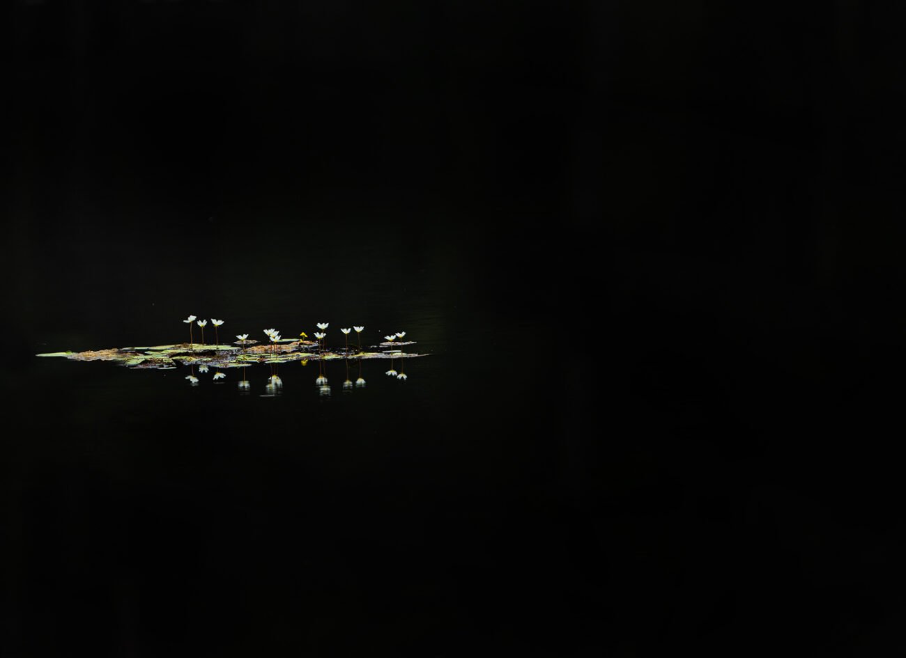 Hope in Darkness