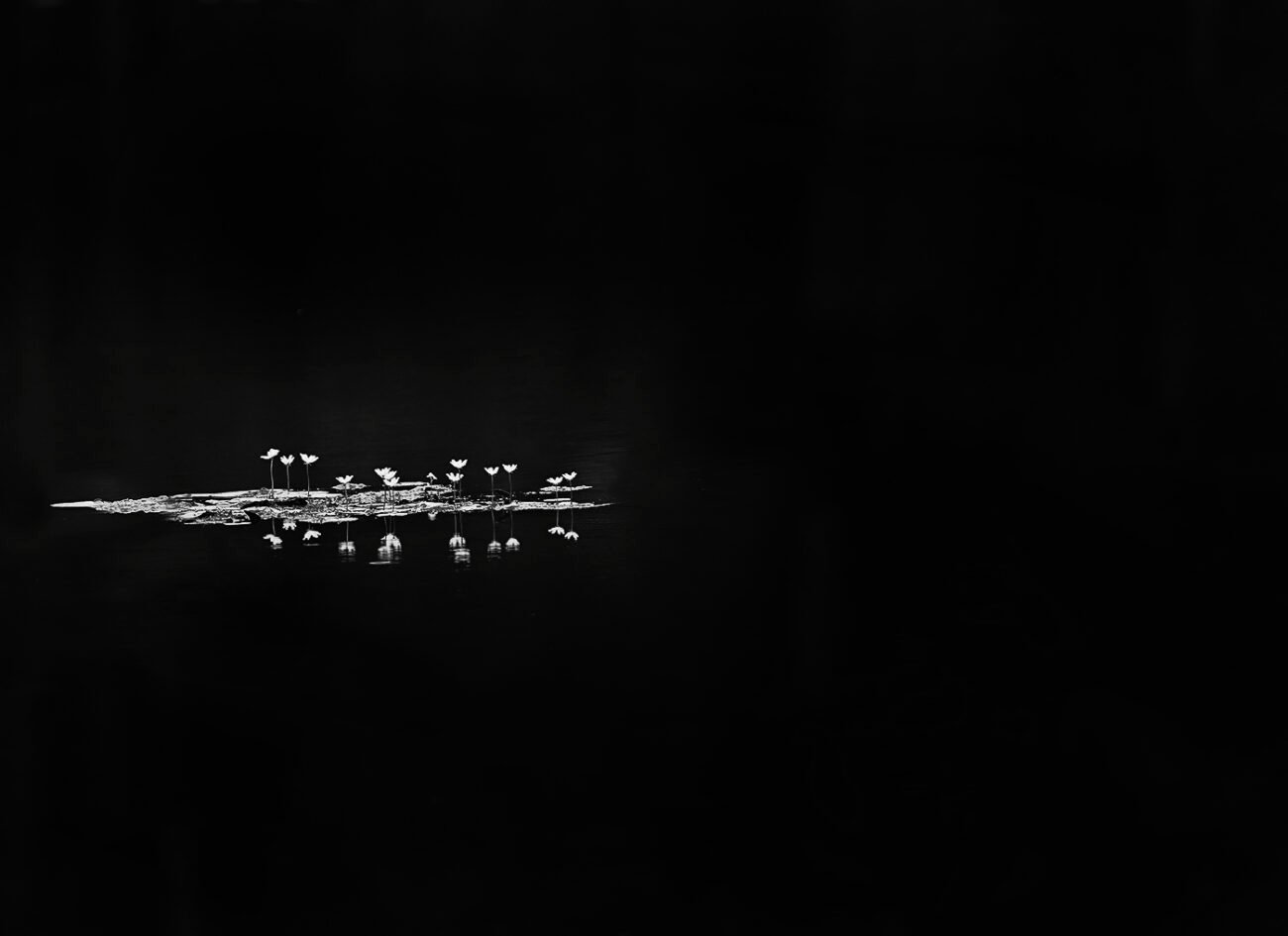 Hope in Darkness