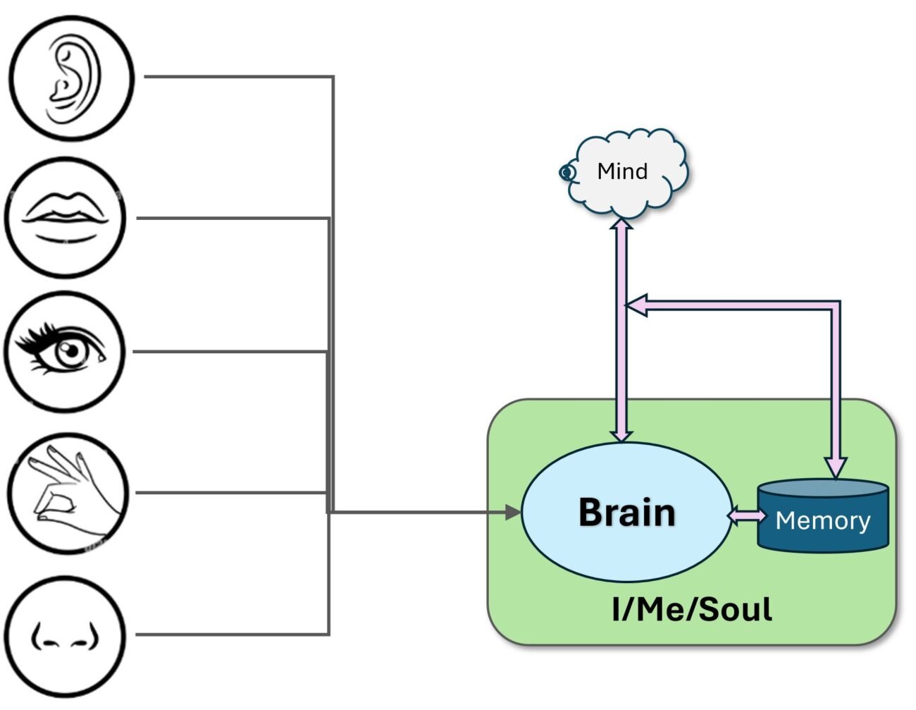 The Rise of the Mind